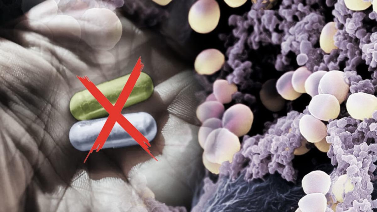 Bazı Hastalıkları Antibiyotik Kullanmadan Tedavi Etmenin Bir Yolu Bulundu