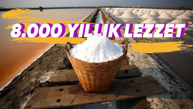 Yemeklere "Tuz" Atma Fikri İlk Kimin Aklına Geldi?