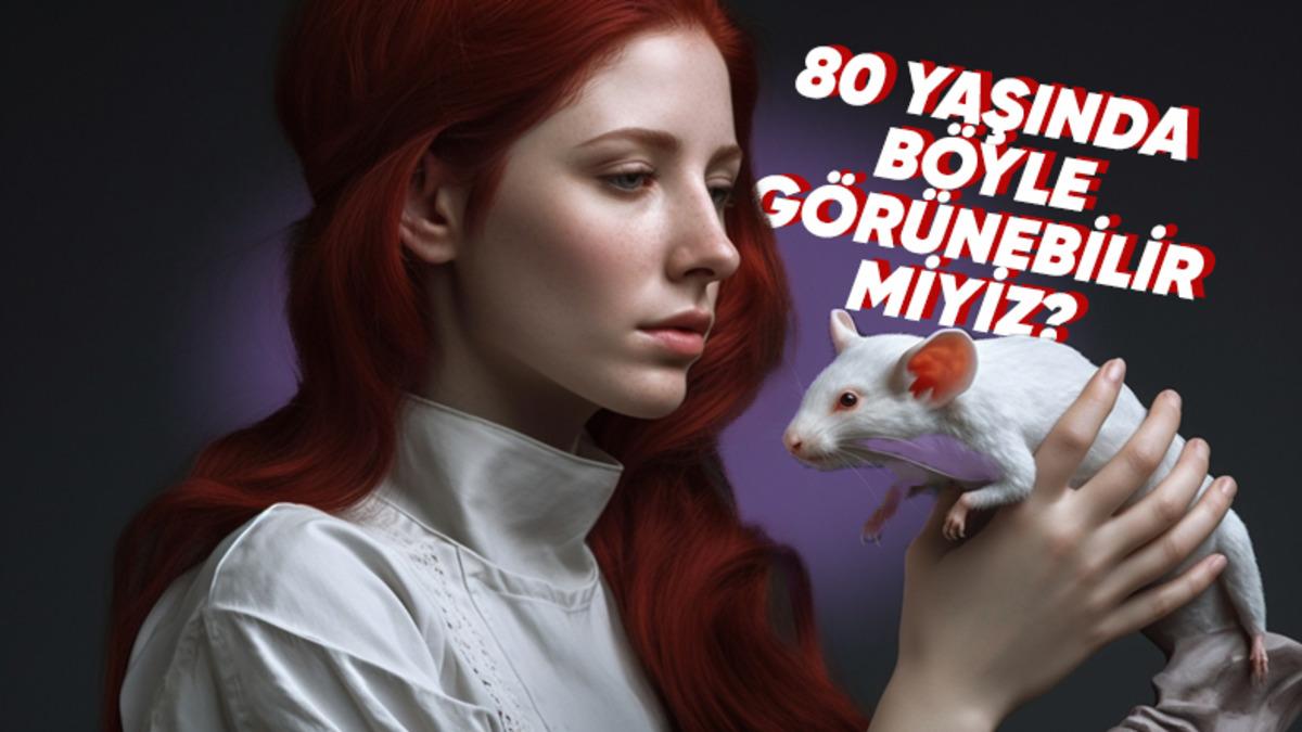 Gelecekte Yaşlılar da Genç Görünebilir, Hem de Estetiksiz: İşte Bu Konuda Fareler Üzerinde Yapılan Çalışmalar