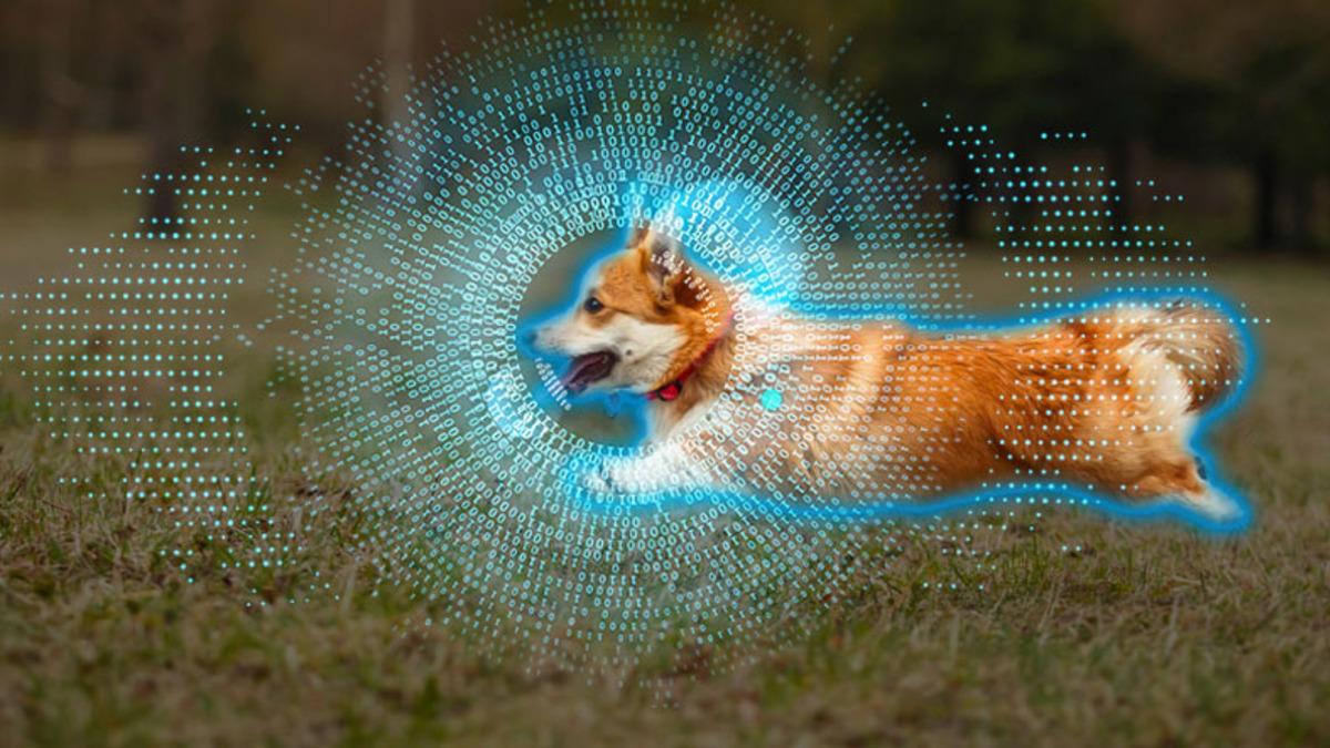 Meta, Tıpkı İnsan Gibi Etraftaki Nesneleri Birbirinden Ayırt Edebilen Yapay Zekasını Tanıttı: SAM