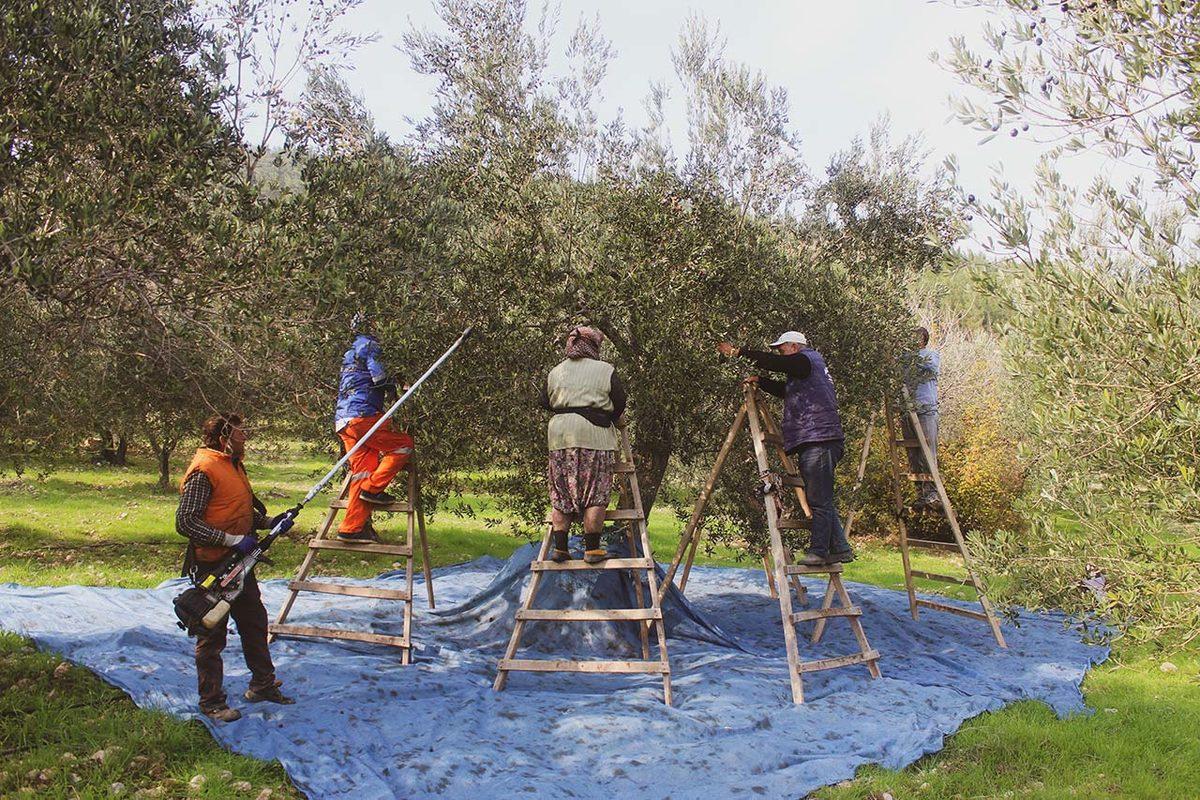 Trendyol, Yerli Üreticilerin Küresele Açılmasını Sağlayan Destekleri Açıkladı