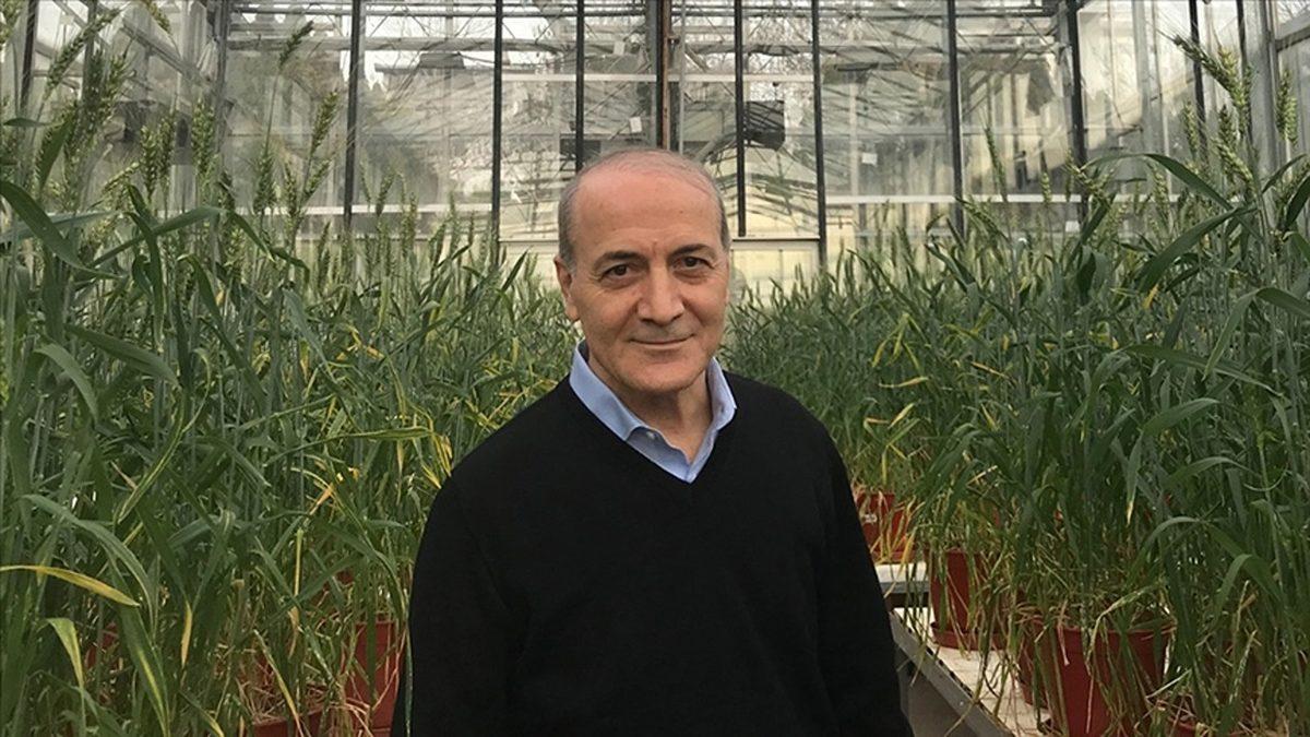 Kim Oldukları Asla Unutulmaması Gereken 11 Büyük Türk Bilim İnsanı (7)