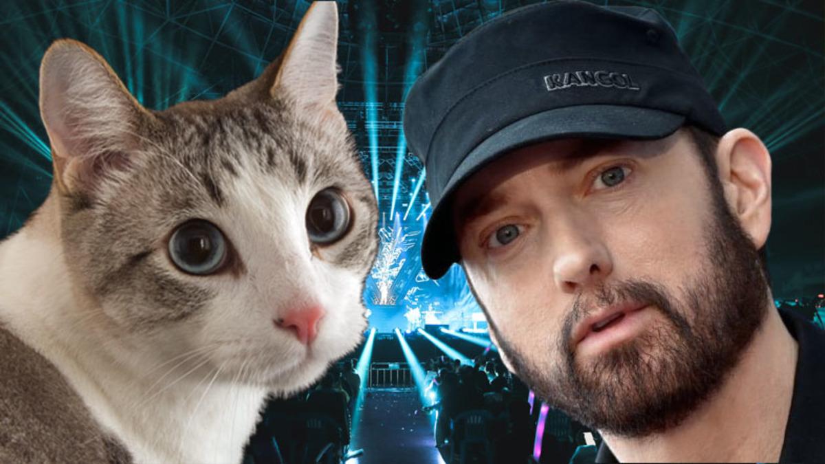 Yapay Zeka ile "Eminem’in Sesi Kullanılarak" Yapılan Kedi Şarkısı, Telif Hakkı Nedeniyle Kaldırıldı (Şarkı Eminem’in mi Yapay Zekanın mı?)