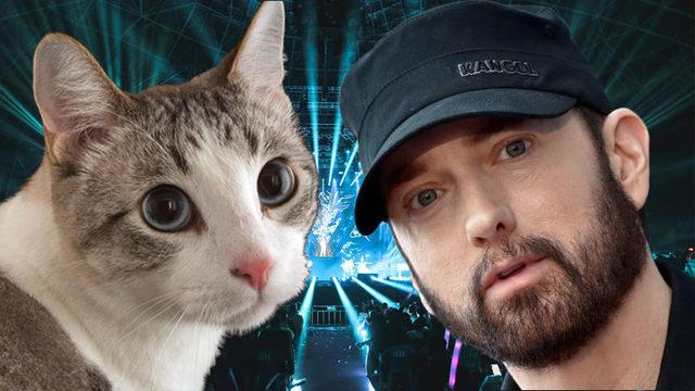 Yapay Zeka ile "Eminem’in Sesi Kullanılarak" Yapılan Kedi Şarkısı, Telif Hakkı Nedeniyle Kaldırıldı (Şarkı Eminem’in mi Yapay Zekanın mı?)