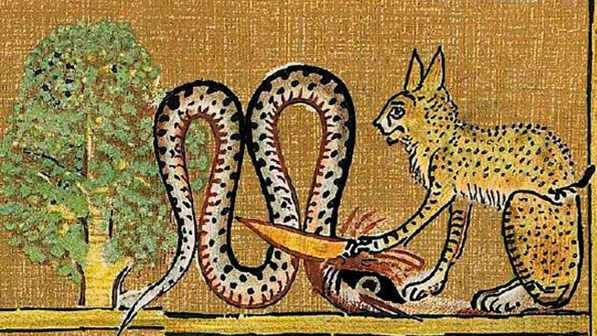 Kedilerin Dokuz Canlı Olduğu Efsanesi Nereden Geliyor?