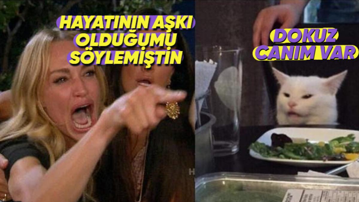 Kedilerin Dokuz Canlı Olduğu Efsanesi Nereden Geliyor?