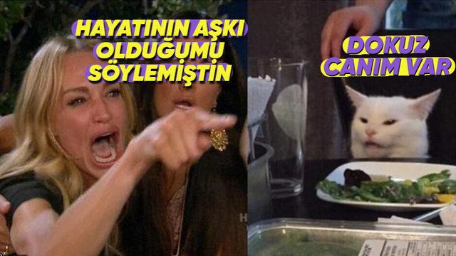 Kedilerin Dokuz Canlı Olduğu Efsanesi Nereden Geliyor?