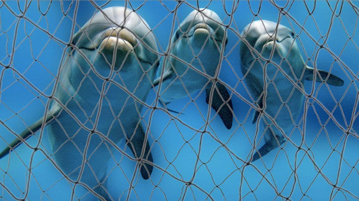 Torunlarınız Bu 15 Hayvanı Hiç Göremeyebilir: Üstelik Sizin de Bunda Parmağınız Var!