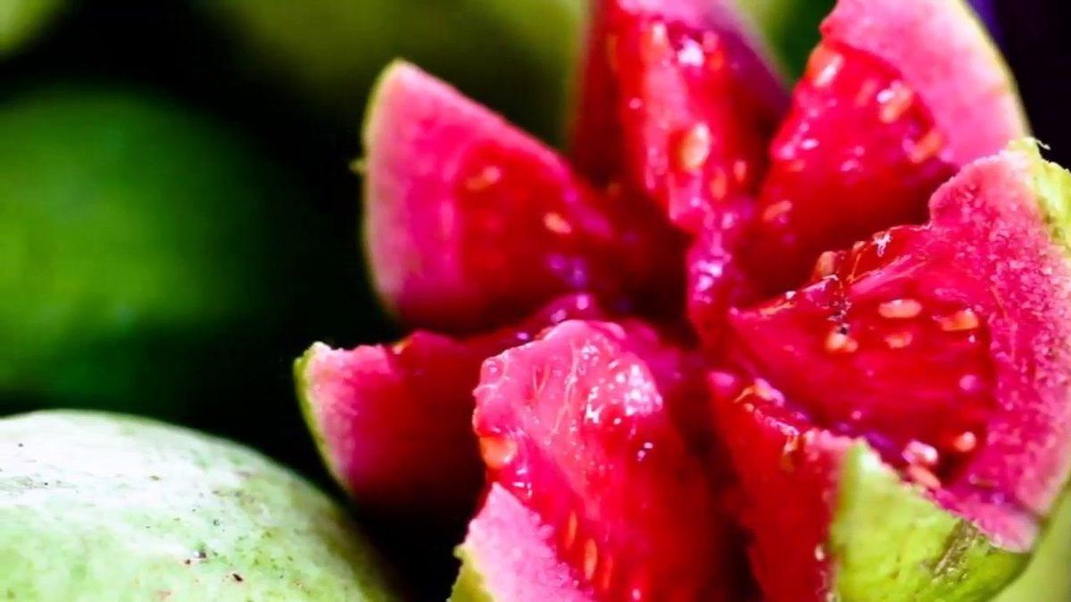 İsmini Pek Duymadığımız Ancak Tam Bir C Vitamini Deposu Olan Bu İlginç Meyve ile Tanışın: Guava
