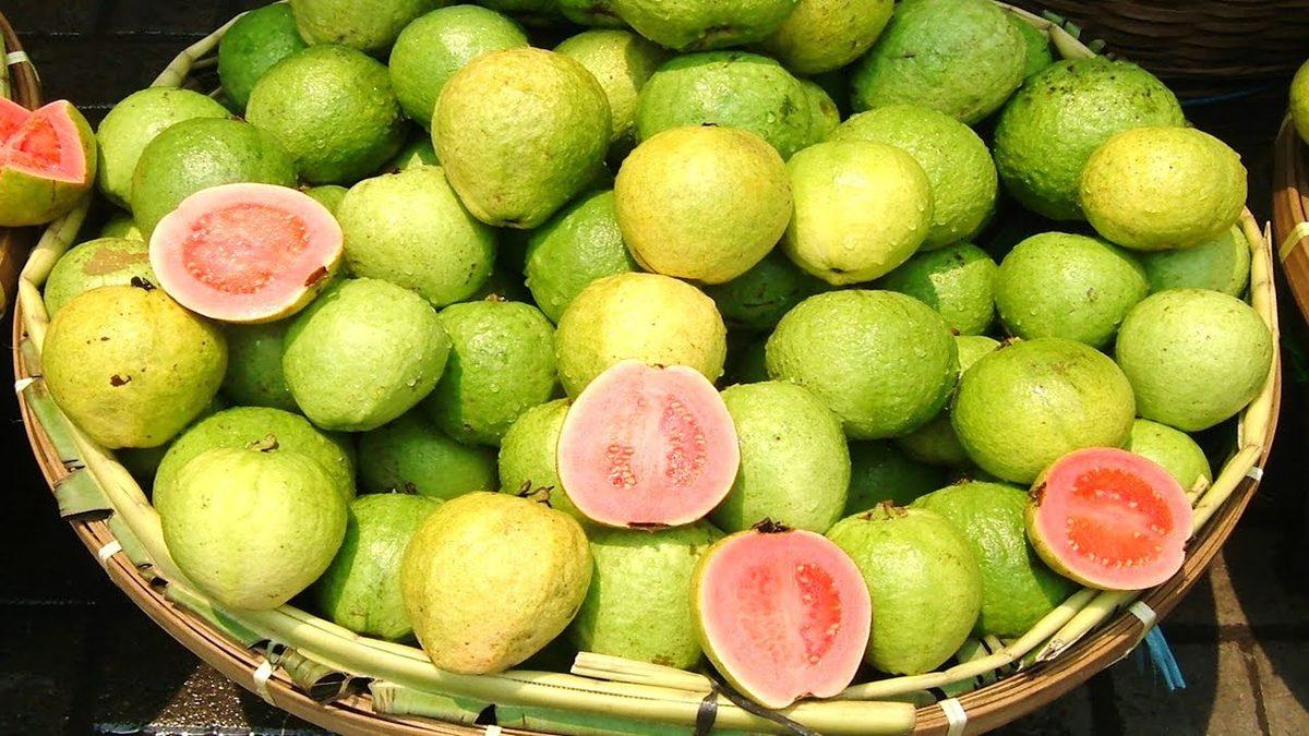 İsmini Pek Duymadığımız Ancak Tam Bir C Vitamini Deposu Olan Bu İlginç Meyve ile Tanışın: Guava