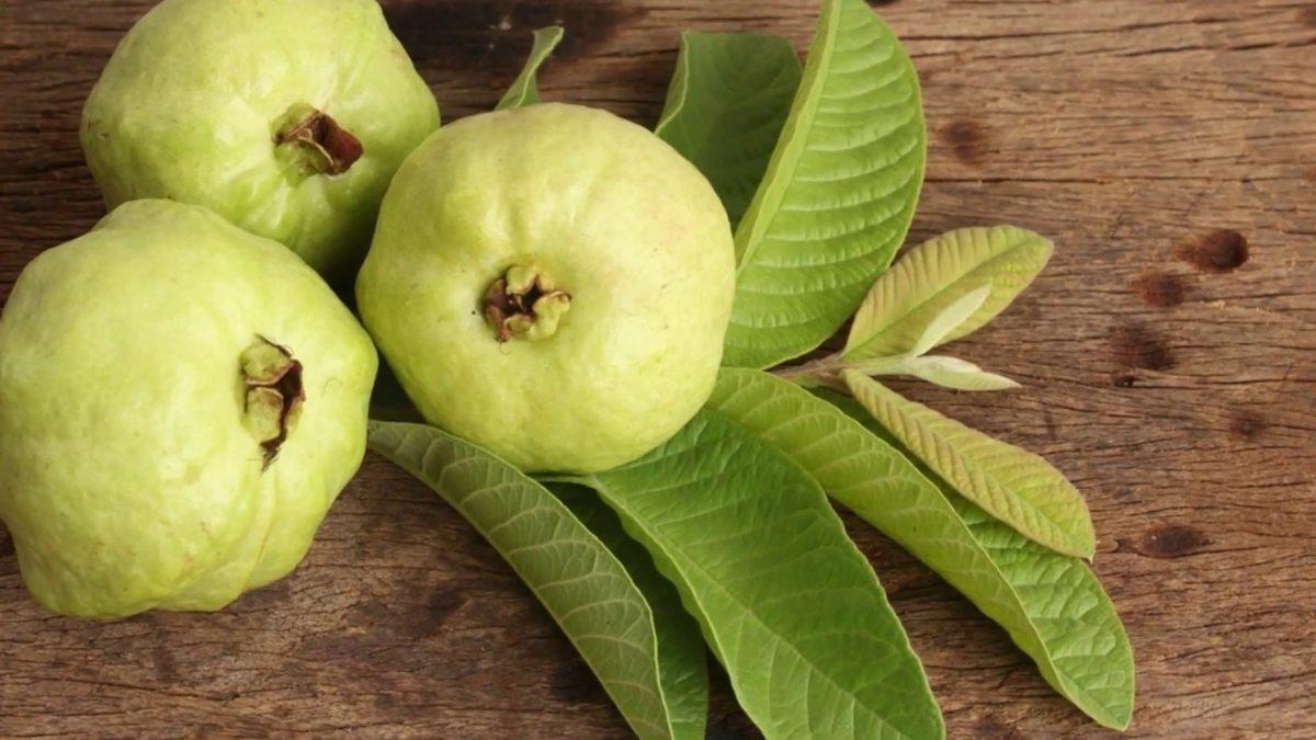 İsmini Pek Duymadığımız Ancak Tam Bir C Vitamini Deposu Olan Bu İlginç Meyve ile Tanışın: Guava