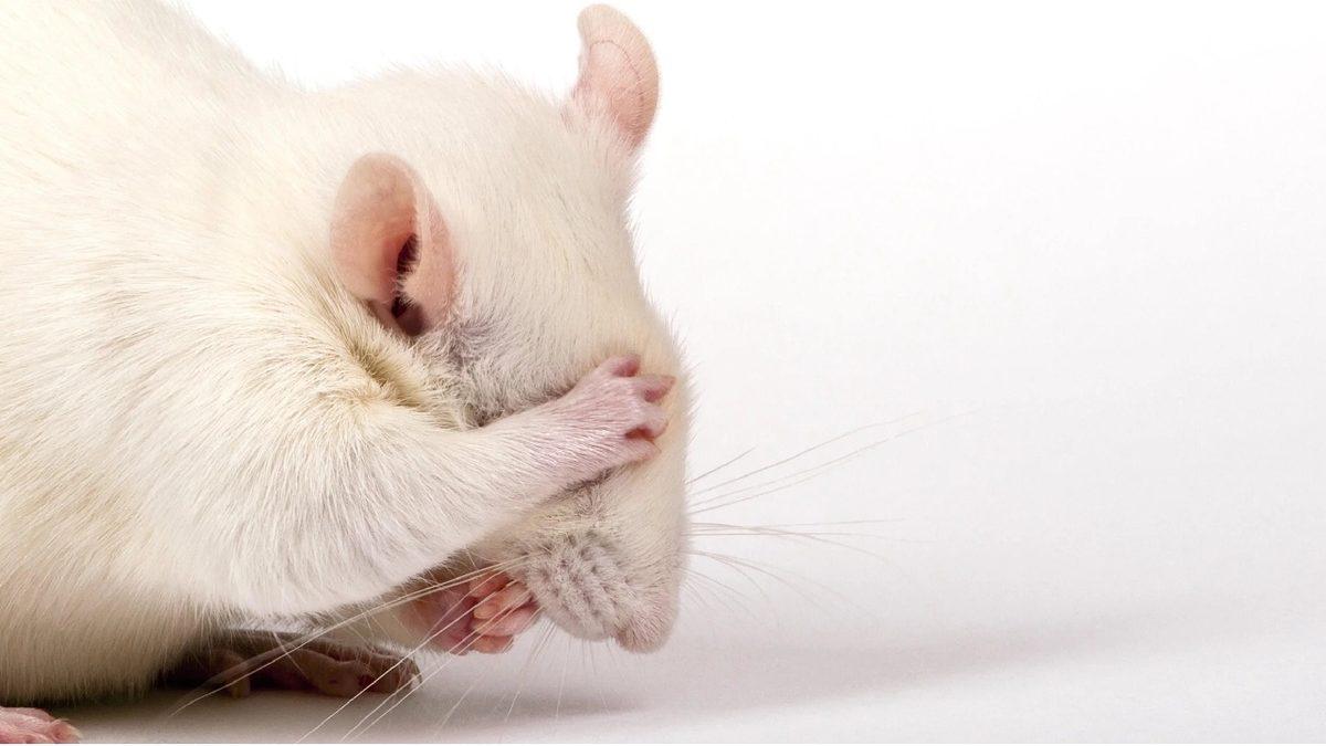 Alkol Aldıktan Sonra Yaşanan 