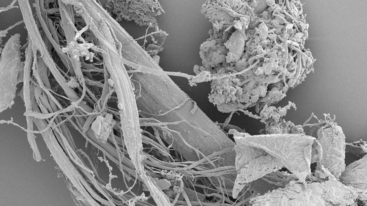 Dyson’ın 2023 Küresel Toz Araştırması Sonuçları Yayınlandı: Okuduktan Sonra Her Gün Temizlik Yapmak İsteyeceksiniz