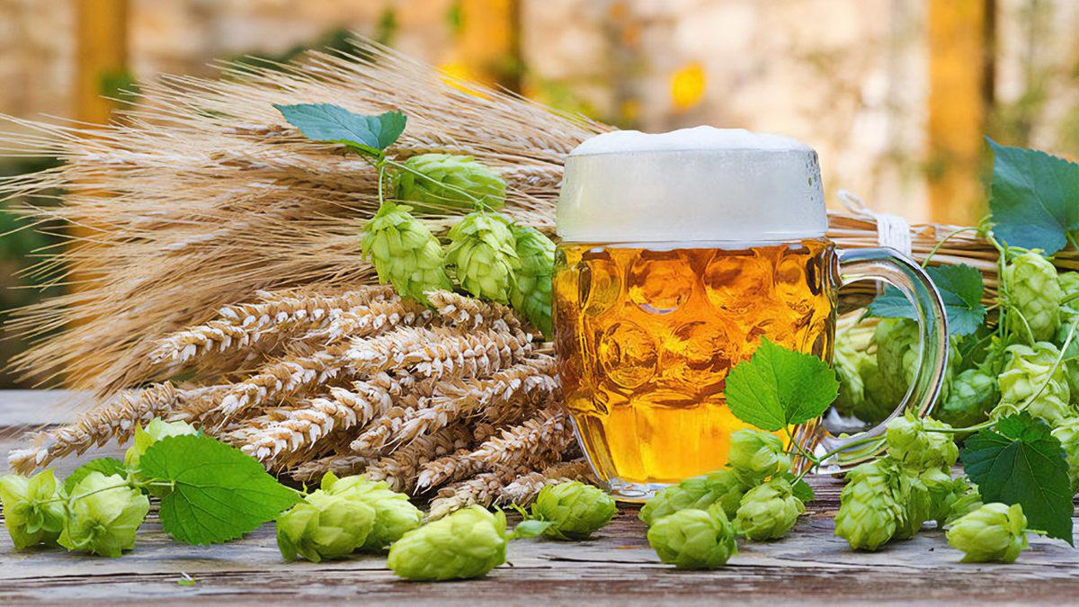 Bizdekinin Aksine Bazı Ülkelerde Bira Neden Sudan Bile Daha Ucuz?