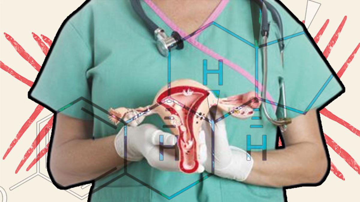 Kadın Biyolojik Sisteminin İşleyişini Sağlayan Östrojen Nedir, Tam Olarak Ne İşe Yarar?