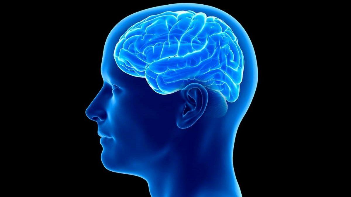 Soğuk İklimde Yaşamanın, Ömrü Uzattığına Dair Yeni Kanıtlar Bulundu