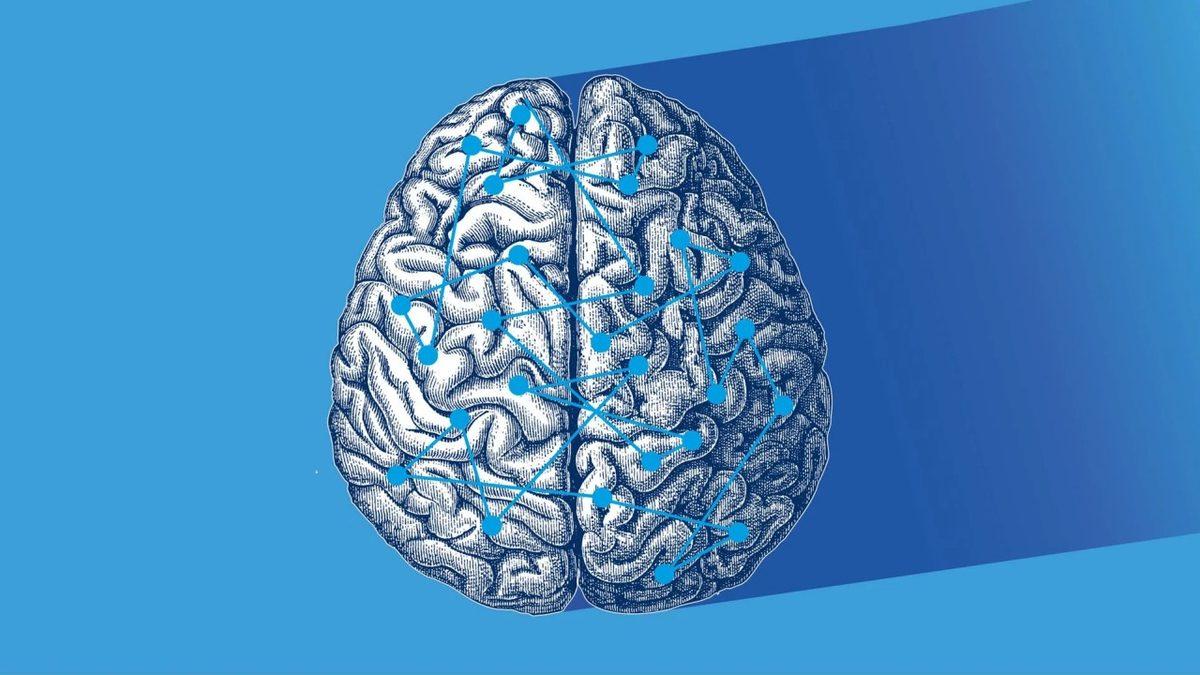 Soğuk İklimde Yaşamanın, Ömrü Uzattığına Dair Yeni Kanıtlar Bulundu