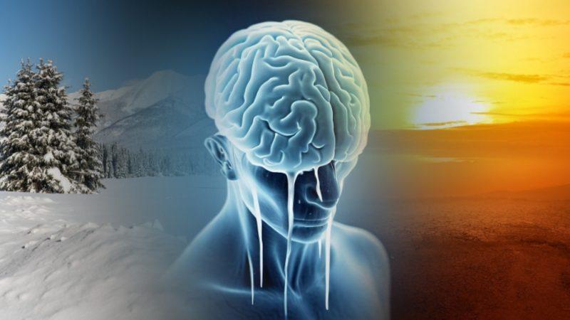 Soğuk İklimde Yaşamanın, Ömrü Uzattığına Dair Yeni Kanıtlar Bulundu