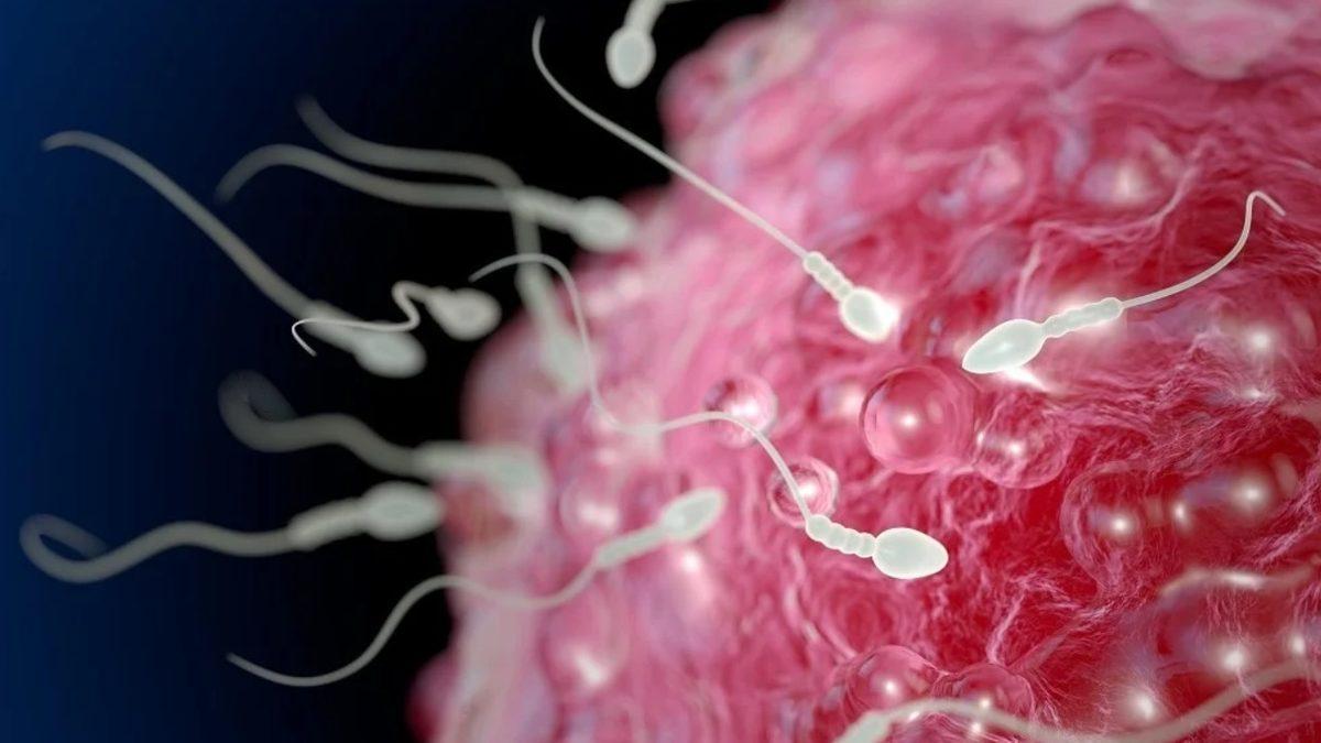 Erkekler Prezervatife Alternatif Olarak Gelecekte Hangi Doğum Kontrol Yöntemlerini Kullanacak?