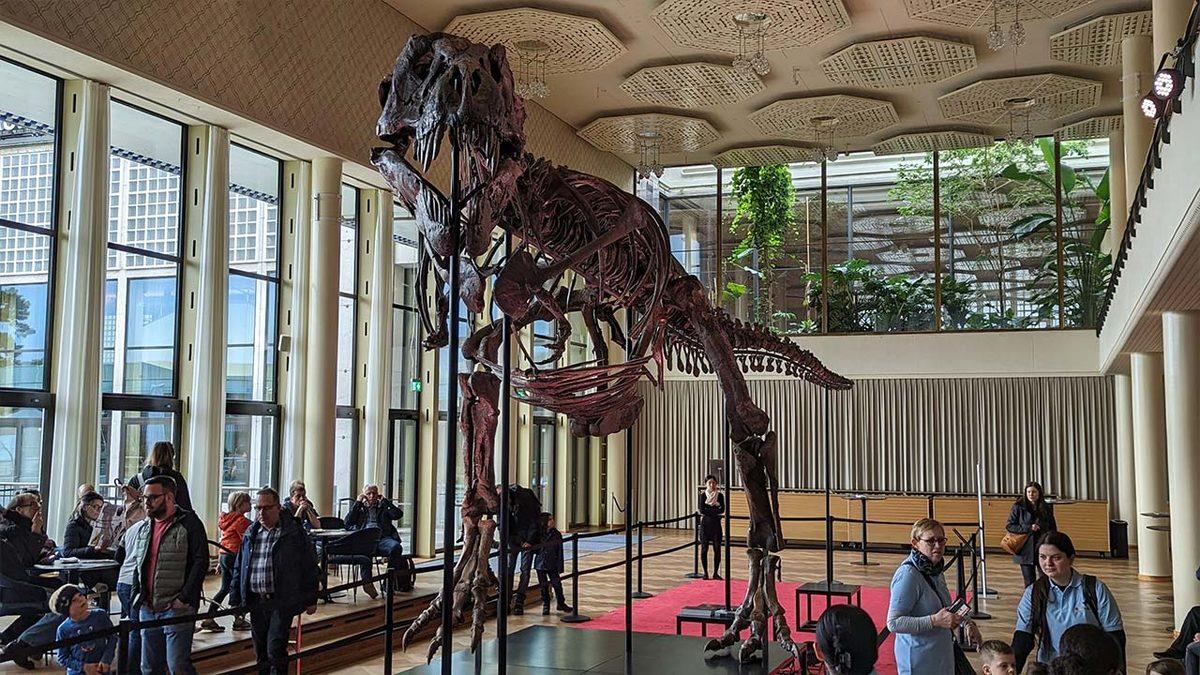11 Metrelik Dev T-Rex İskeleti, Milyonlarca Dolara Satıldı (Yok Bir Hayalimiz Falan)