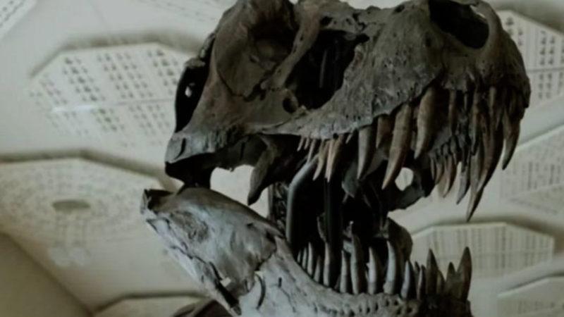 11 Metrelik Dev T-Rex İskeleti, Milyonlarca Dolara Satıldı (Yok Bir Hayalimiz Falan)