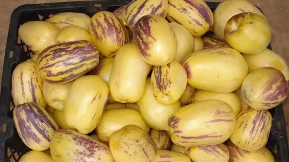 Çoğunuzun Adını İlk Kez Duyacağı, Manava Gidip de Bulamayacağınız 15 Sıra Dışı Meyve