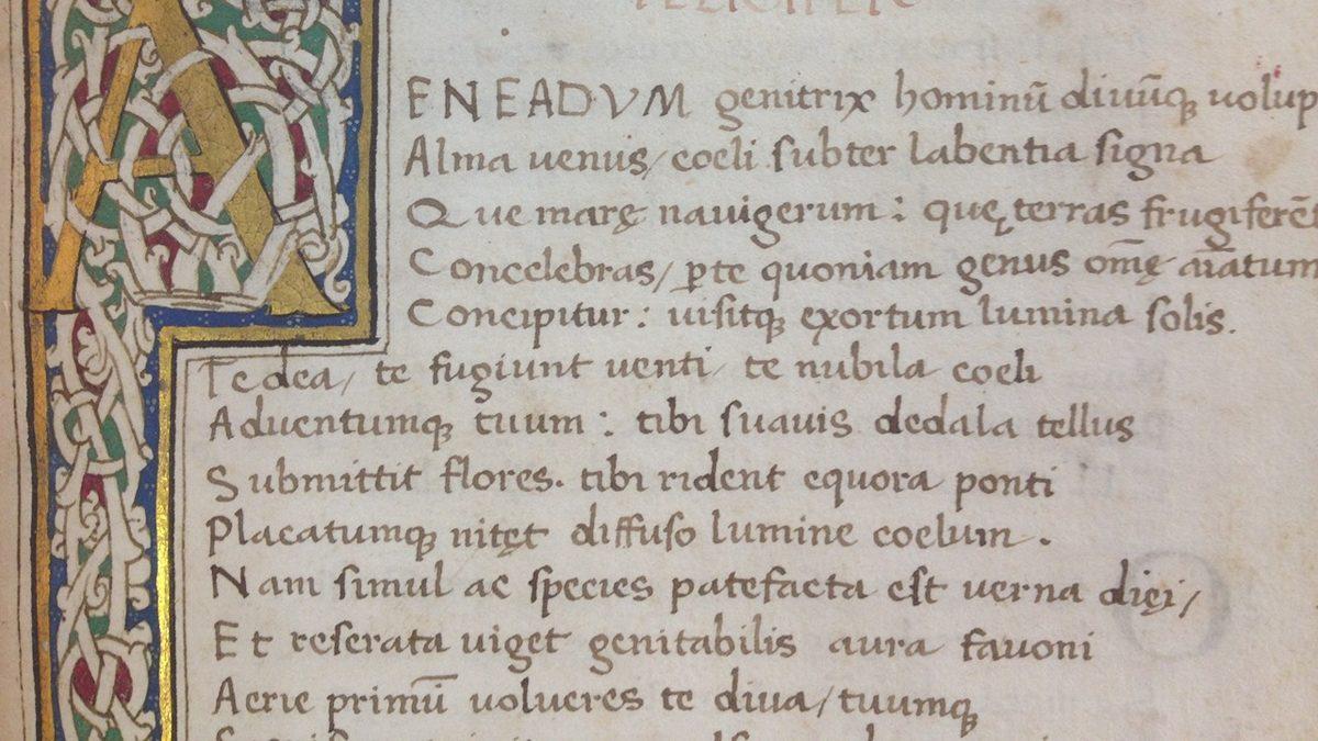 Bilim Dili Olarak Latincenin Tercih Edilmesinin Ana Sebebi Nedir? Üstelik Daha Yaygın Bir Dil Olan İngilizce Varken!