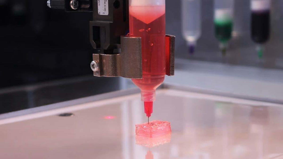 Organ Kıtlığına Çözüm İçin Büyük Adım: Sıcaklıkla Sertleşen Biyolojik Mürekkep Geliştirildi