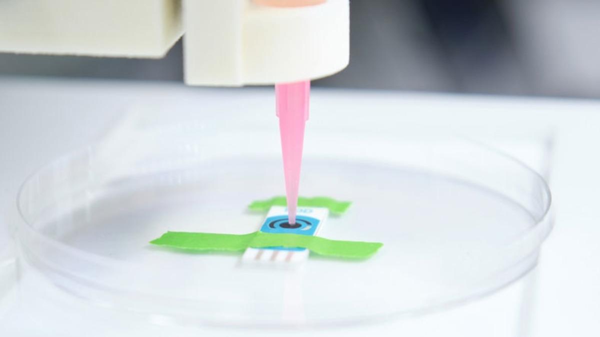 Organ Kıtlığına Çözüm İçin Büyük Adım: Sıcaklıkla Sertleşen Biyolojik Mürekkep Geliştirildi