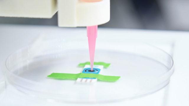 Organ Kıtlığına Çözüm İçin Büyük Adım: Sıcaklıkla Sertleşen Biyolojik Mürekkep Geliştirildi