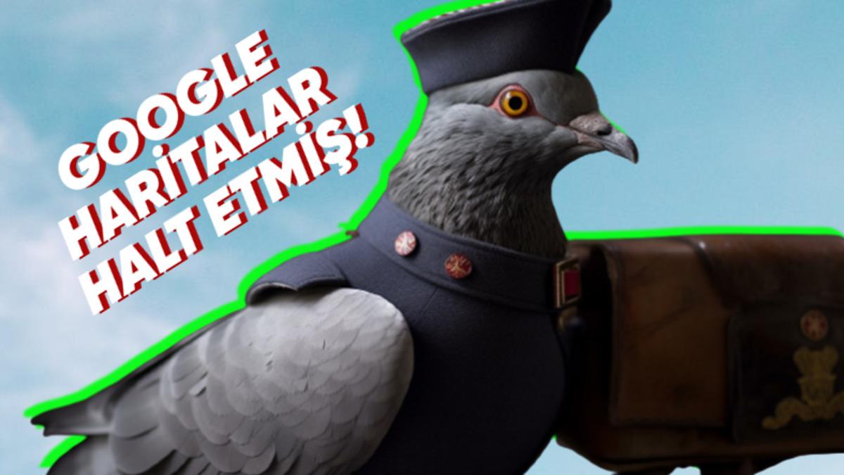 Posta Güvercinleri Nasıl Oluyor da Mektupları Çok Uzaktaki Yerlere Bile Hatasız Bir Şekilde Teslim Edebiliyorlardı?