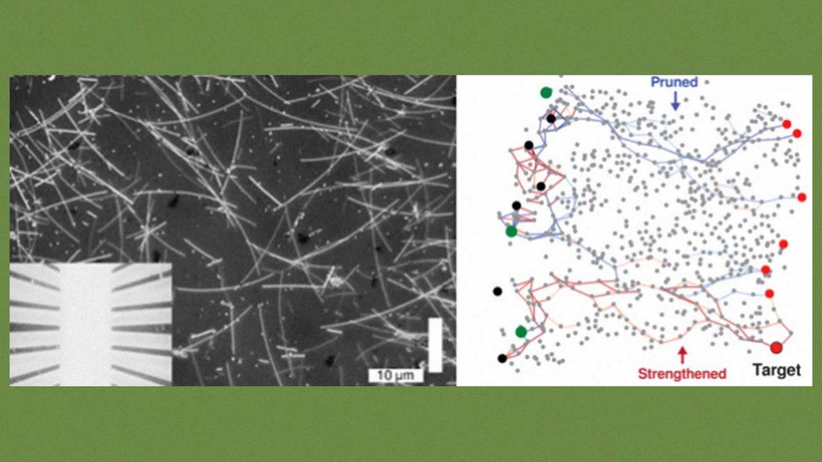 Gümüş Tellerin İnsan Beyni Gibi Öğrendiği ve Hafıza Oluşturduğu Keşfedildi (Evet, Bildiğimiz Tel)