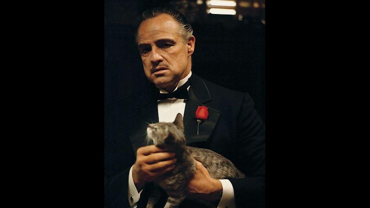 Meğer Markaların da Bizler Gibi Karakteri Varmış: Peki Hangi Marka 