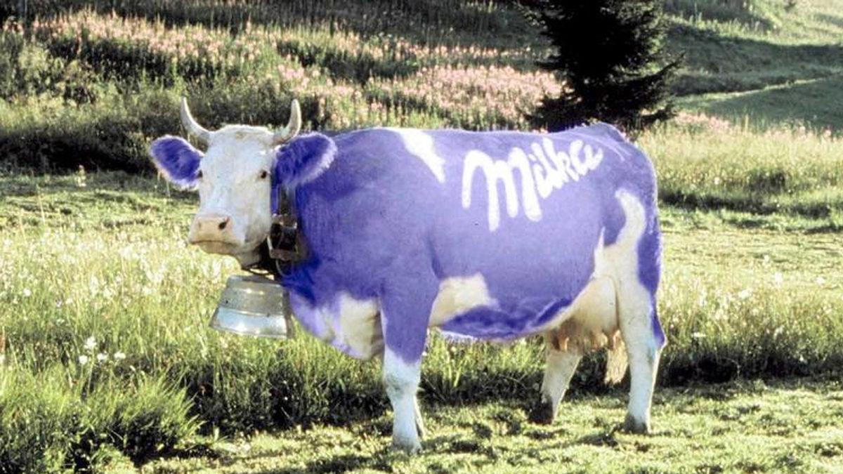 Milka’nın Meşhur İneğinin Mor Renkte Olmasının Muhtemelen Bilmediğiniz Sebebi