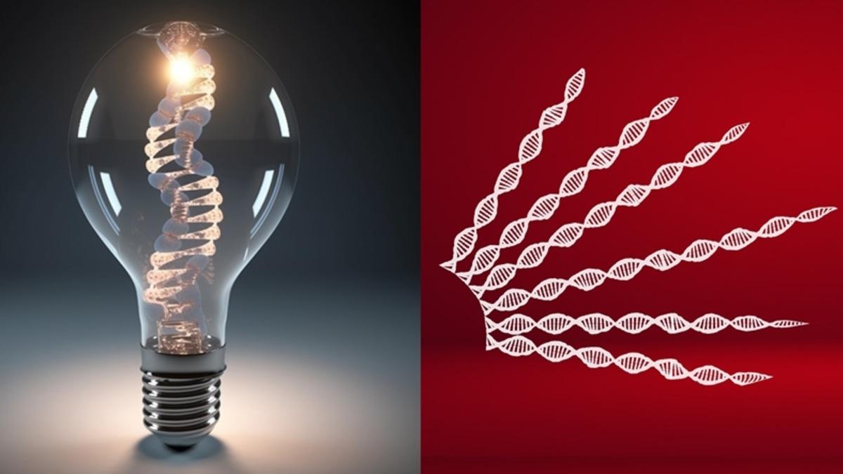 Siyaset, Kanımızda Var: Hangi Partiye Oy Vereceğimizi Belirleyen Bir Diğer Şey Aslında "Genlerimizde" Saklıymış!