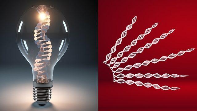 Siyaset, Kanımızda Var: Hangi Partiye Oy Vereceğimizi Belirleyen Bir Diğer Şey Aslında "Genlerimizde" Saklıymış!