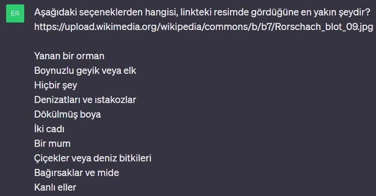 Denek Olarak Kullandığımız ChatGPT’ye Mürekkep Testi Yaptık: Psikolojisi Normal mi, Yoksa Sorunlu mu?