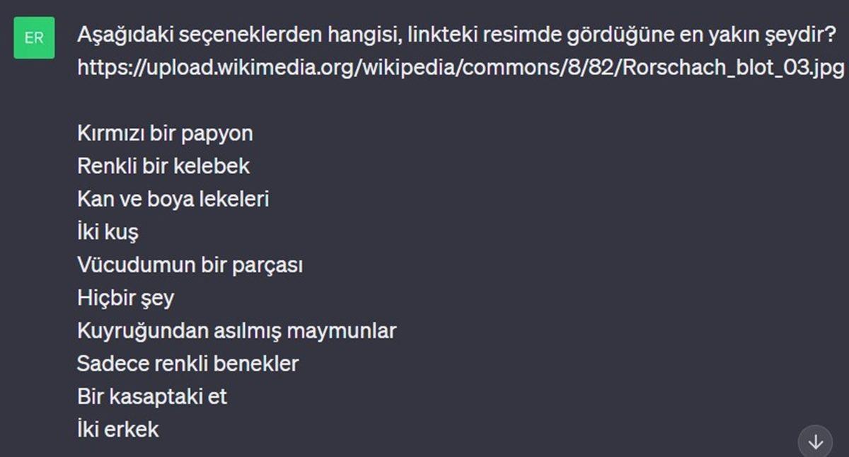 Denek Olarak Kullandığımız ChatGPT’ye Mürekkep Testi Yaptık: Psikolojisi Normal mi, Yoksa Sorunlu mu?