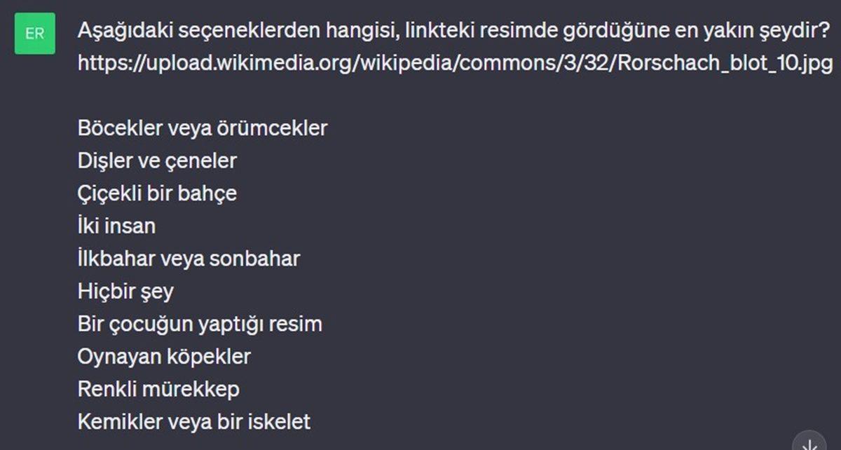 Denek Olarak Kullandığımız ChatGPT’ye Mürekkep Testi Yaptık: Psikolojisi Normal mi, Yoksa Sorunlu mu?