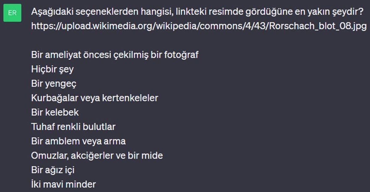 Denek Olarak Kullandığımız ChatGPT’ye Mürekkep Testi Yaptık: Psikolojisi Normal mi, Yoksa Sorunlu mu?