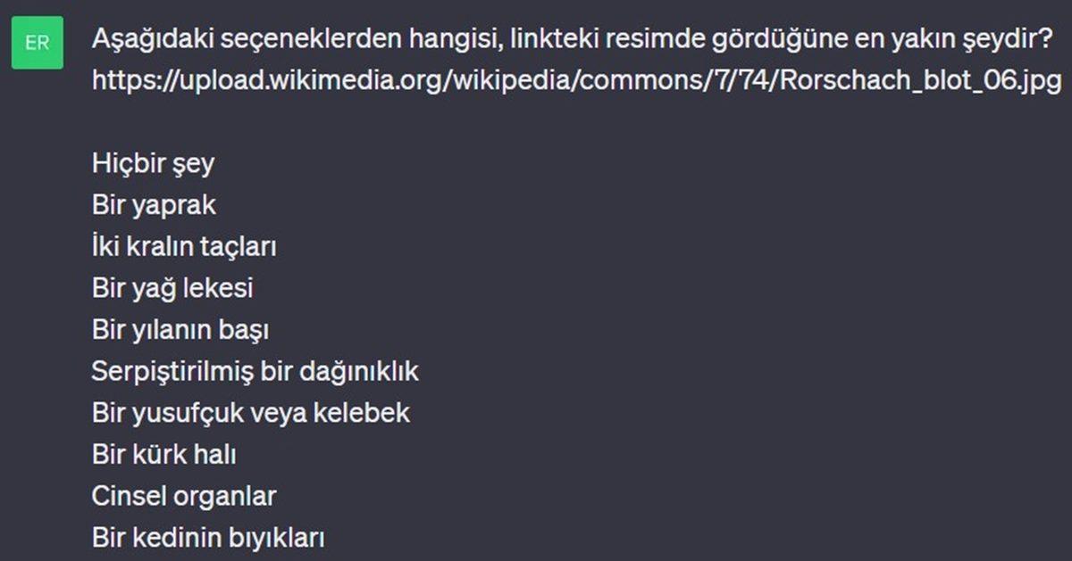 Denek Olarak Kullandığımız ChatGPT’ye Mürekkep Testi Yaptık: Psikolojisi Normal mi, Yoksa Sorunlu mu?