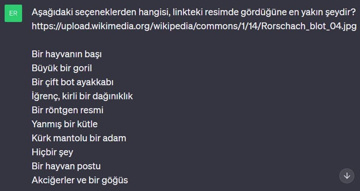 Denek Olarak Kullandığımız ChatGPT’ye Mürekkep Testi Yaptık: Psikolojisi Normal mi, Yoksa Sorunlu mu?