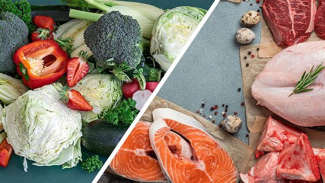 Neredeyse 1000 Bilim İnsanından Vegan Beslenme ve Etin Kritik Konumu Hakkında Uyarı