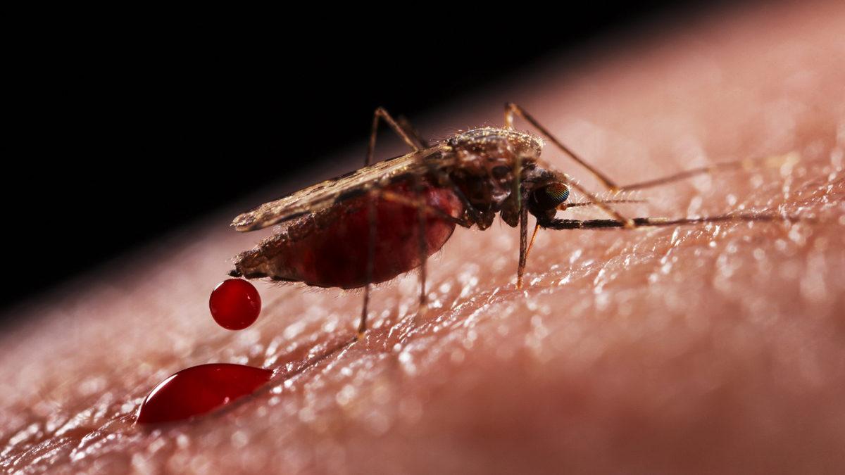 Schweppes’in En Sevilen Ürünü Olan Toniğin Çok Az Bilinen Karanlık Hikâyesi