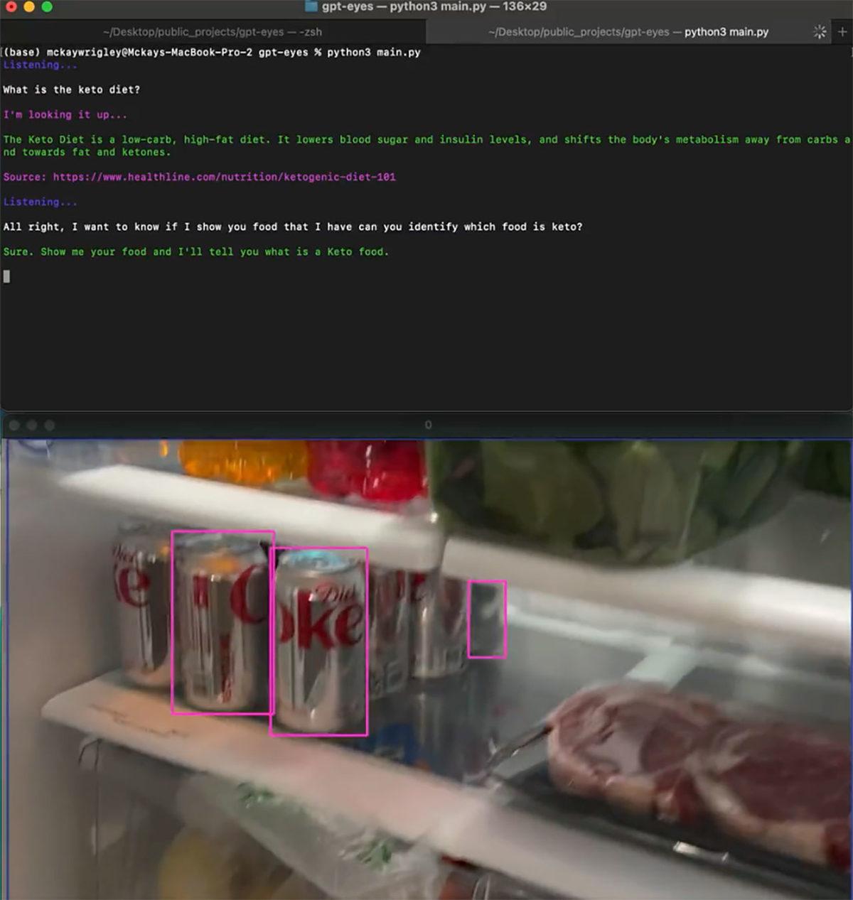 ChatGPT’nin Artık Gözleri Var! Bir Geliştirici, Telefon ile Yapay Zekâya Görme Yetisi Kazandırdı [Video]