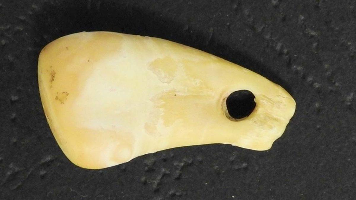 Atalarımızın Huyu Suyu Ortaya Çıkacak: 20 Bin Yıllık Kolye Parçasında İnsan DNA’sı Bulundu