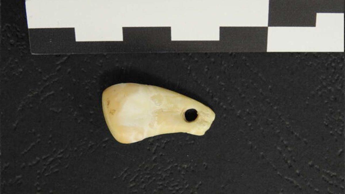 Atalarımızın Huyu Suyu Ortaya Çıkacak: 20 Bin Yıllık Kolye Parçasında İnsan DNA’sı Bulundu