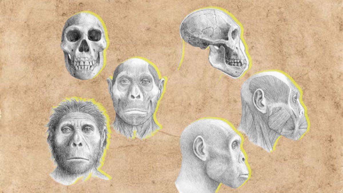 Ne Şekilde Öldükleri Tespit Edilebilen İlk İnsanlar: Milyonlarca Yıl Önce Kimisini Leopar Kimisini Kartal Kapmış!