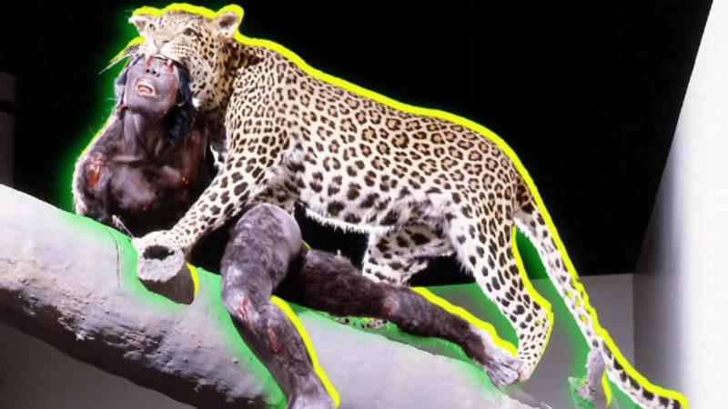 Ne Şekilde Öldükleri Tespit Edilebilen İlk İnsanlar: Milyonlarca Yıl Önce Kimisini Leopar Kimisini Kartal Kapmış!