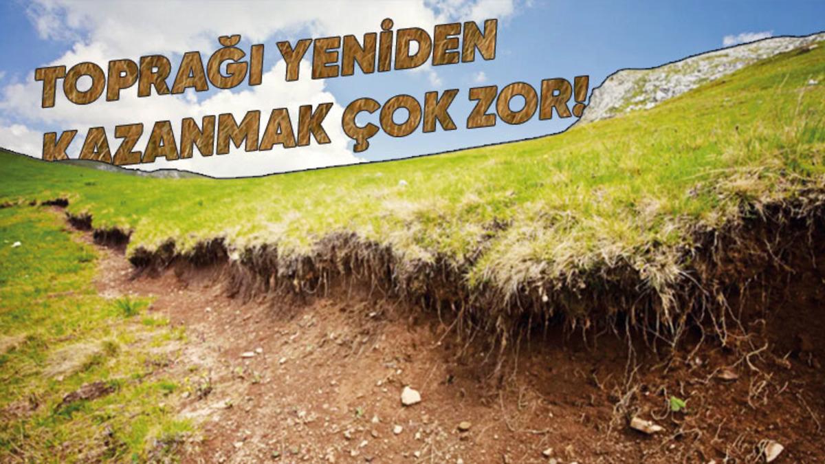 Dikkat Etmezsek Çok Kötü Sonuçlarla Karşılaşacağımız ’Erozyon’ Nedir, Türleri Nelerdir, Nasıl Önlenir?